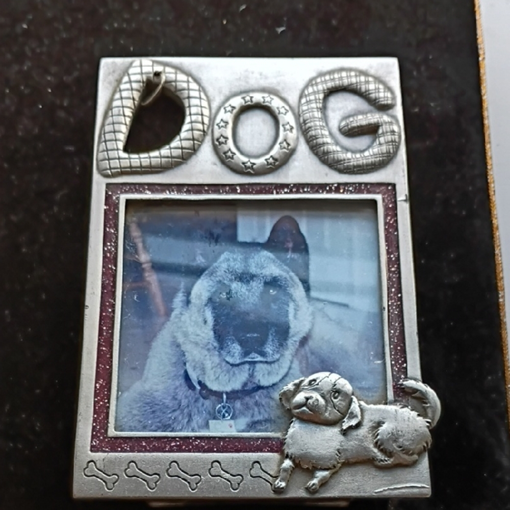 Silver Tone Dog Picture Frame